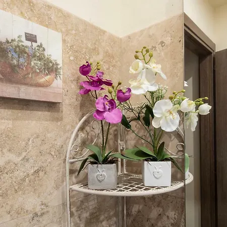 Antica Dimora Del Buongoverno * Siena